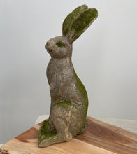 Load image into Gallery viewer, Mossy Rabbit Statue - Sitting
