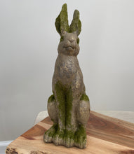 Load image into Gallery viewer, Mossy Rabbit Statue - Sitting
