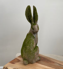 Load image into Gallery viewer, Mossy Rabbit Statue - Side Facing
