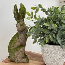 Load image into Gallery viewer, Mossy Rabbit Statue - Side Facing
