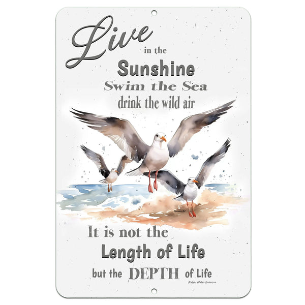 Dyenamic Art 'Live in the Sunshine' metal sign featuring a watercolor seagull design with an inspirational quote by Ralph Waldo Emerson. A serene coastal decor piece.