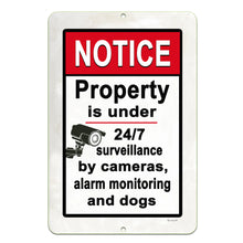 Load image into Gallery viewer, Dyenamic Art surveillance warning sign designed for home security and property protection, suitable for indoor or outdoor use.
